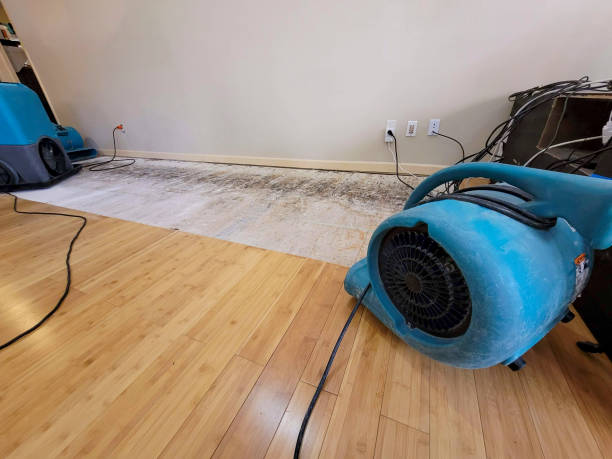 Professional Structural Drying technician working in Lancaster, NH